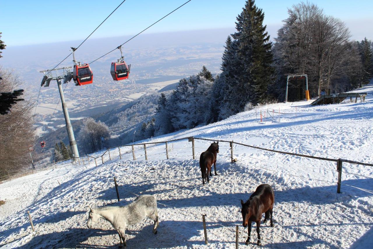 Pohorje Village Wellbeing Resort - Forest Hotel Videc Hocko Pohorje Bagian luar foto