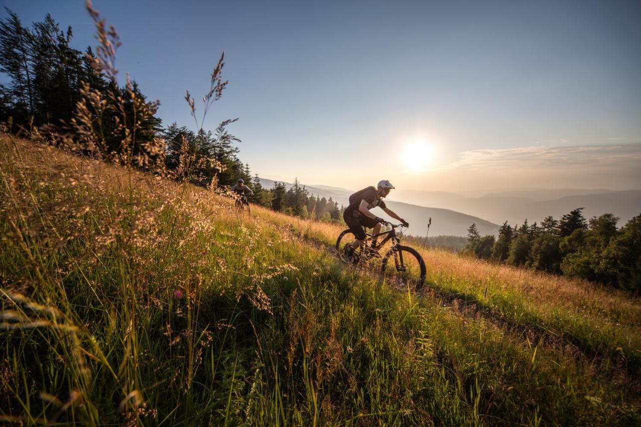 Pohorje Village Wellbeing Resort - Forest Hotel Videc Hocko Pohorje Bagian luar foto