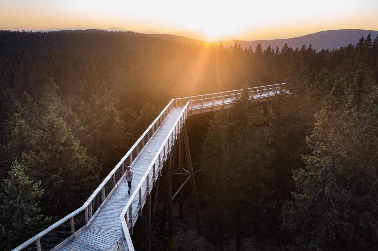 Pohorje Village Wellbeing Resort - Forest Hotel Videc Hocko Pohorje Bagian luar foto