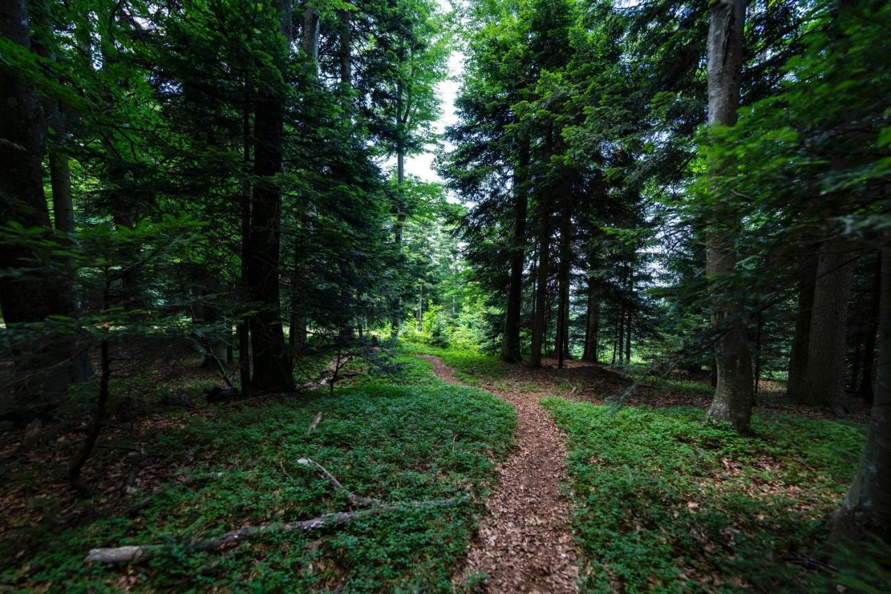 Pohorje Village Wellbeing Resort - Forest Hotel Videc Hocko Pohorje Bagian luar foto